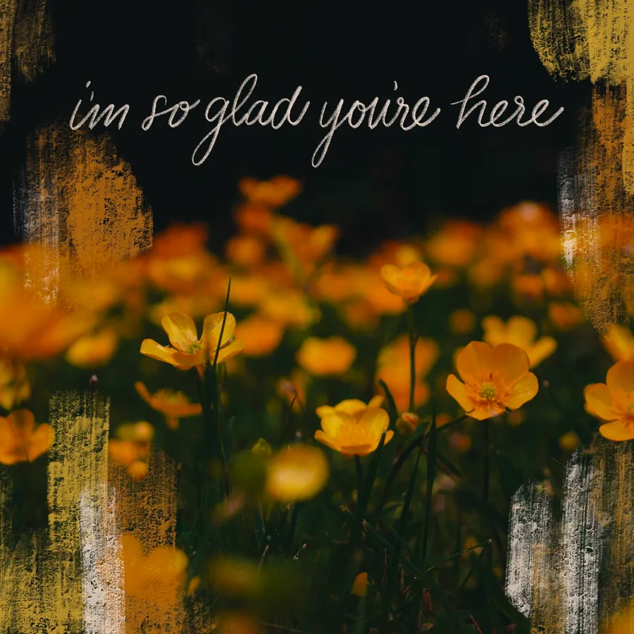'I'm so glad you're here' hand lettered over a field of orange poppies