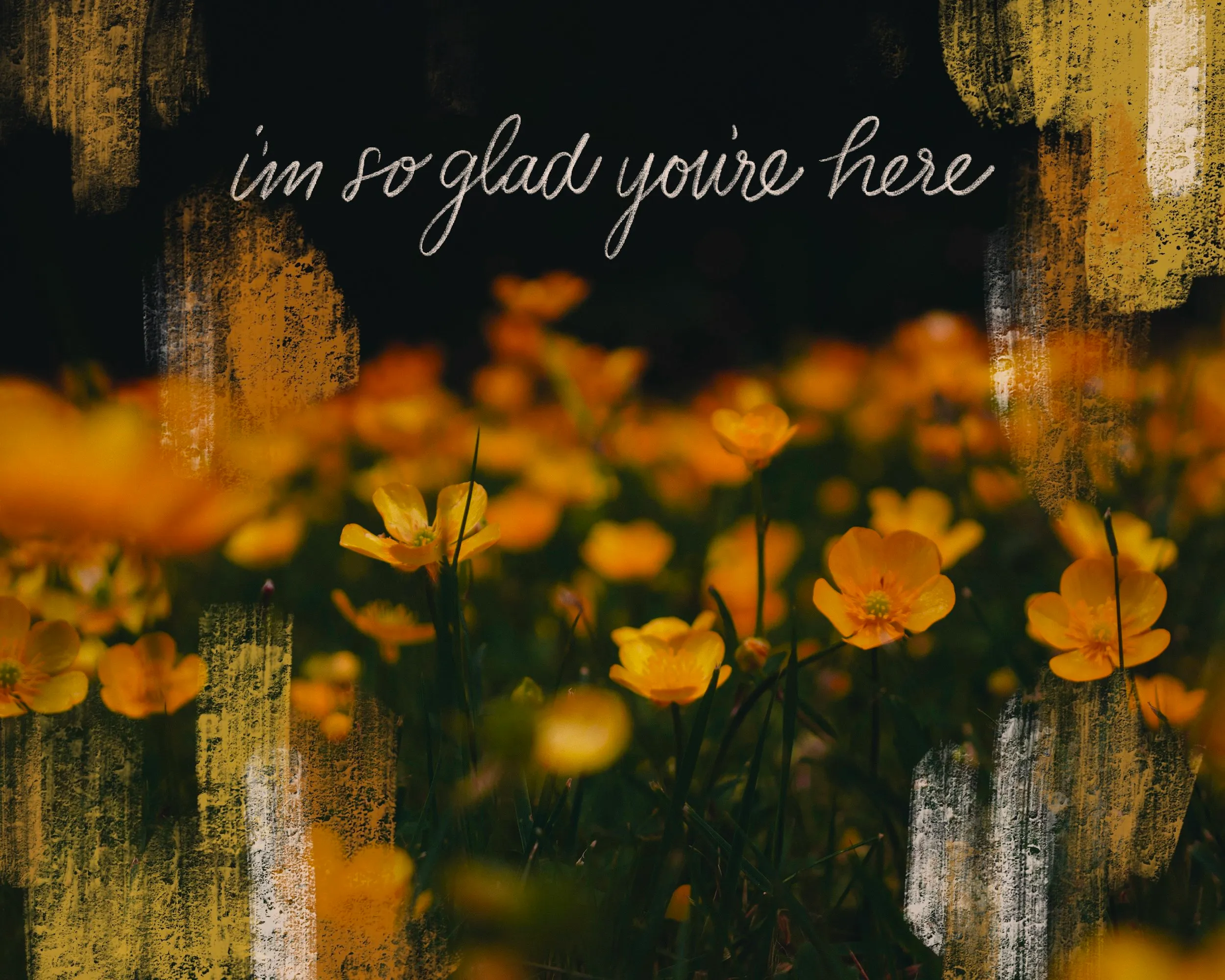 'I'm so glad you're here' hand lettered over a field of orange poppies