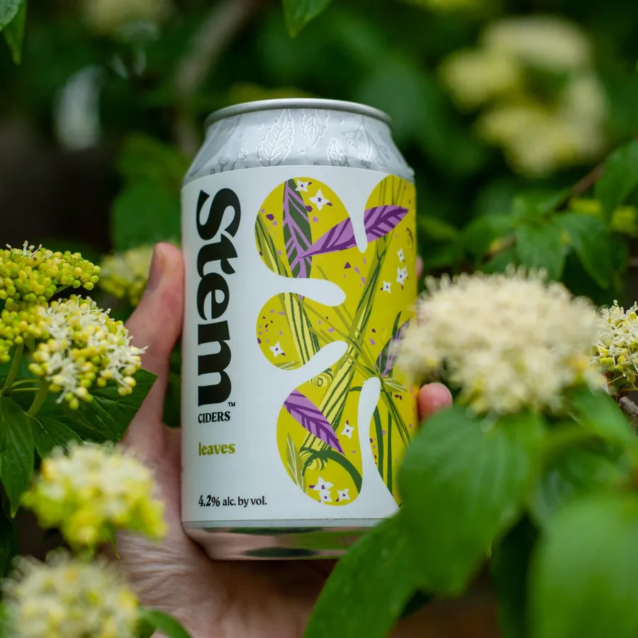 Hand holding a Stem Ciders Leaves can among white blossoms and green leaves
