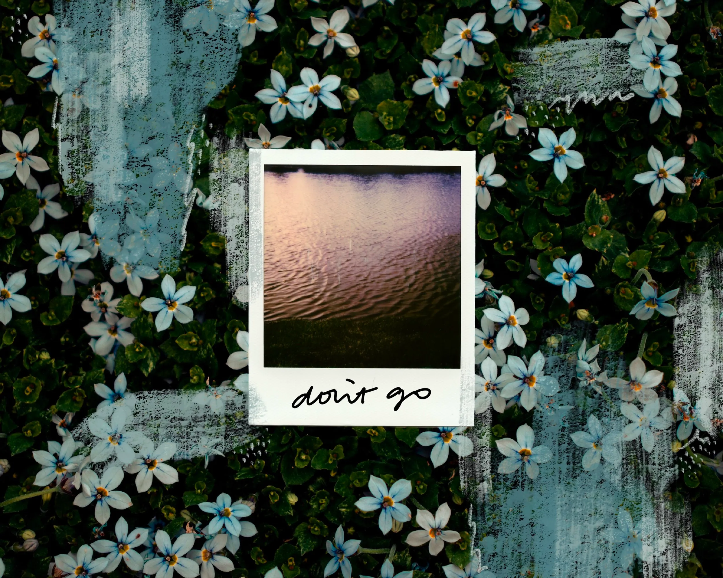 'Don't go' polaroid collage over blue flowers