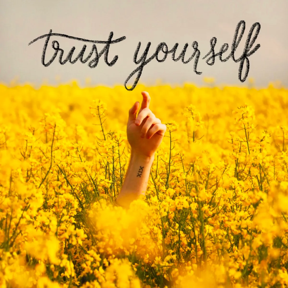 'Trust yourself' lettering over a hand reaching up from yellow flowers