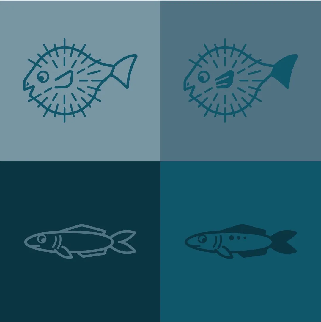 Pufferfish and fish line illustrations in a four-color grid