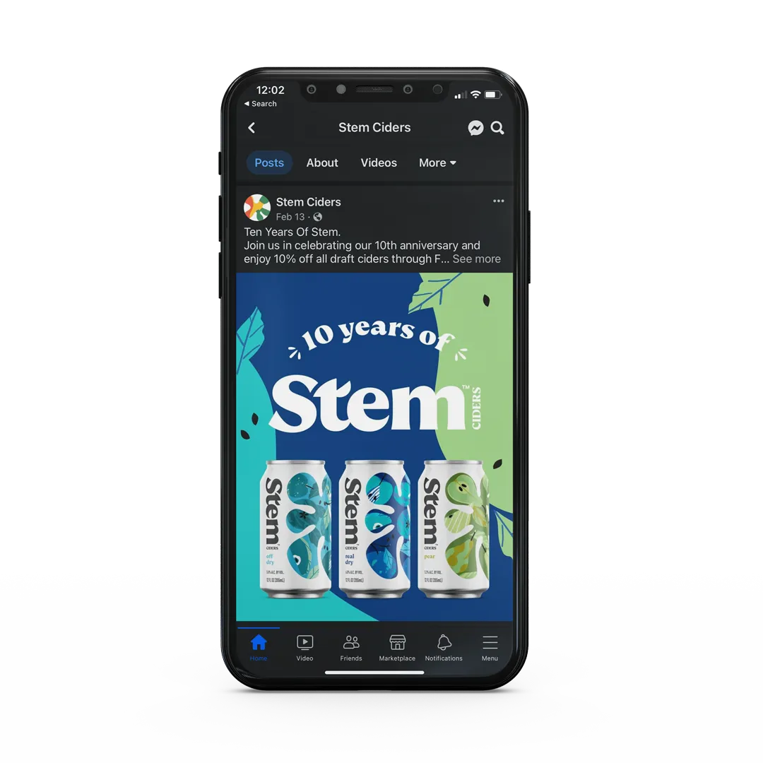 iPhone mockup of the Stem 10-year anniversary Facebook page