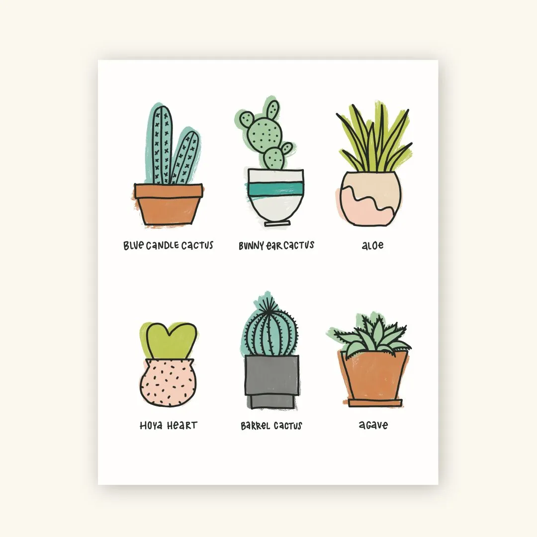Potted succulents illustration print