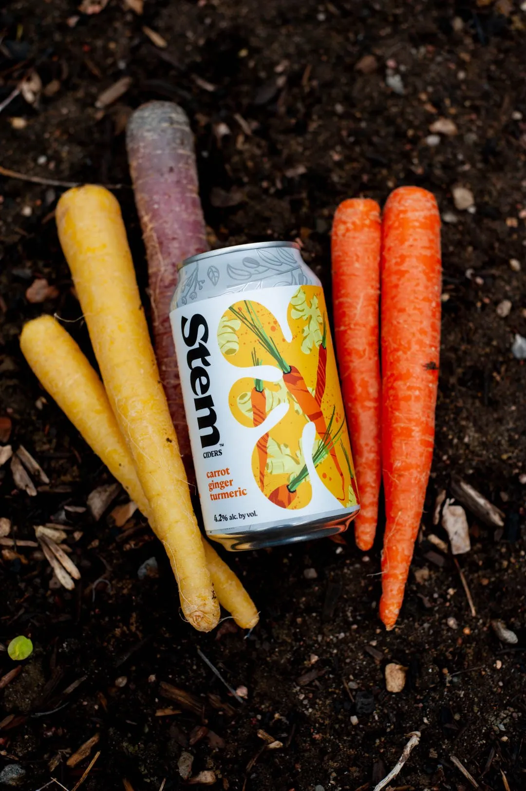 Carrot Ginger Turmeric can in soil with rainbow carrots